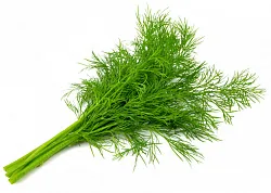 Укроп 80г