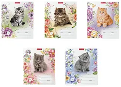 Тетрадь ЭРИХ КРАУЗЕ Мурзики клетка 12л арт.48820