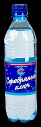 Мин.вода СЕРЕБРЯНЫЙ КЛЮЧ Бехтемир газированная 0.5л