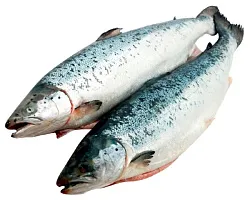 Семга с/м 1кг