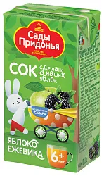 Сок САДЫ ПРИДОНЬЯ яблоко ежевика осветленный т/пак 125мл