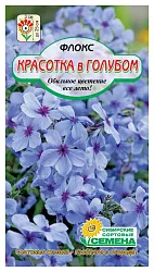 Семена ССС Флокс Красотка в голубом 1г