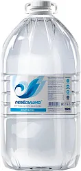 Питьевая вода ЛЕБЕДУШКА негазированная 5л
