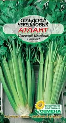 Семена ССС Сельдерей Атлант черешковый 0.5г