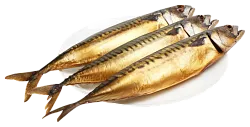 Скумбрия РЫБНЫЙ ХИТ х/к 1кг
