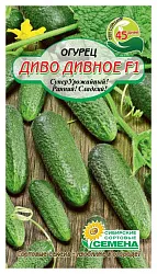 Семена ССС Огурец Диво дивное F1 10шт