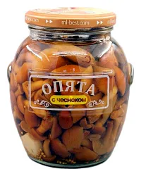 Опята МЕДВЕДЬ ЛЮБИМЫЙ маринованные с чесноком ст/б 314мл