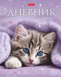Дневник БИДЖИ Замурчательное настроение 1-11 класс арт.40ДТ5лВ_33823