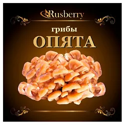 Опята РУСБЕРРИ целые с/м 300г
