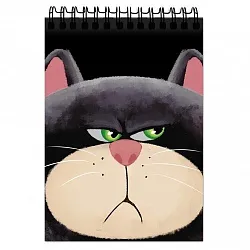 Блокнот ЦЕНТРУМ Недовольный кот 60л арт.77268