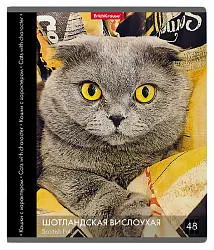 Тетрадь ЭРИХ КРАУЗЕ Кошки с характером клетка 48л