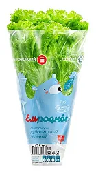 Салат ЕМ РОДНОЕ дуболистный красный 1шт
