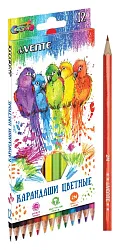 Карандаши цветные ДЕ ВЕНТЕ Космо 12шт