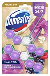 Туалетный блок ДОМЕСТОС Сказочный аромат 2шт