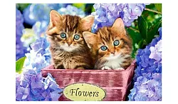 Алмазная мозаика Котята 10*15см арт.ТКир25167
