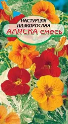 Семена ССС Настурция Аляска 1г